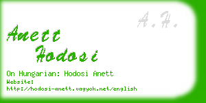 anett hodosi business card